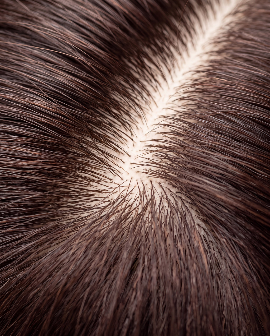 Raíz y cuero cabelludo sano en cabello moreno tras el Ritual Purificante