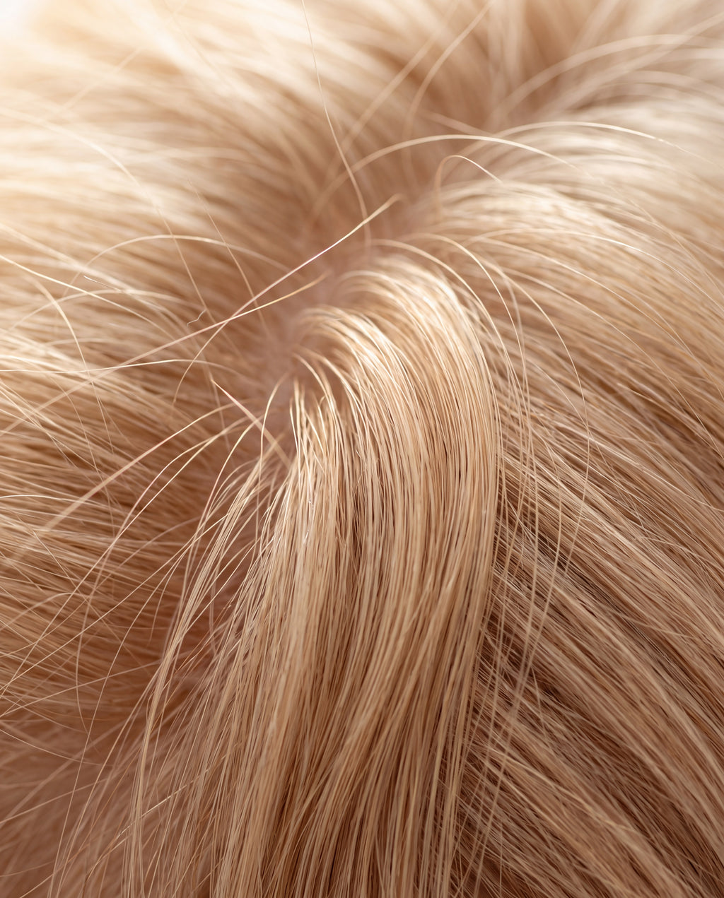 Cabello rubio con volumen desde la raíz tras el exfoliante MINT DETOX