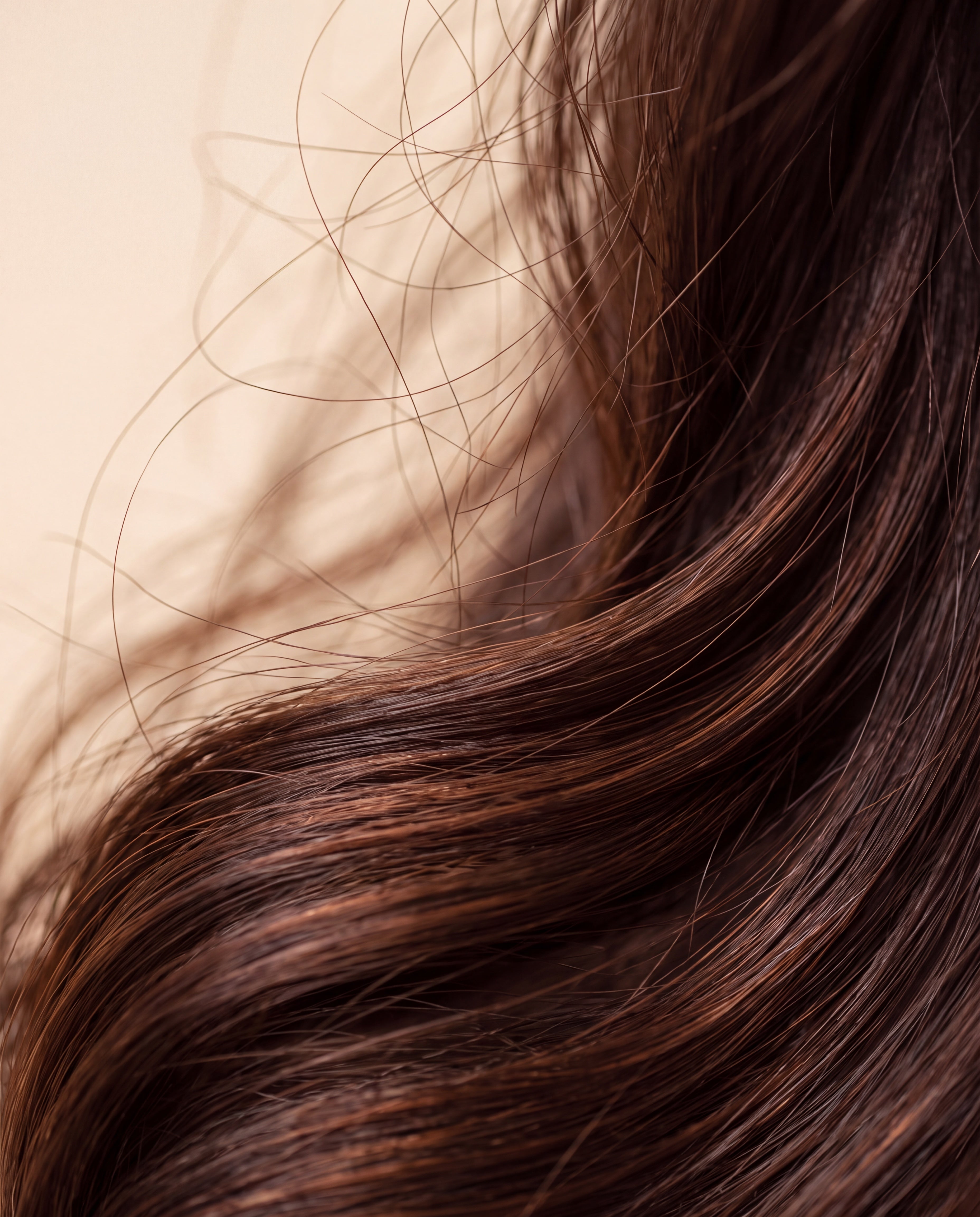 Cabello moreno con las puntas reparadas tras la mascarilla MASK REPAIR