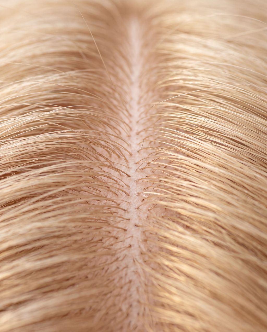 Raíz y cuero cabelludo sano en cabello rubio tras el masaje con ROMERO SERUM