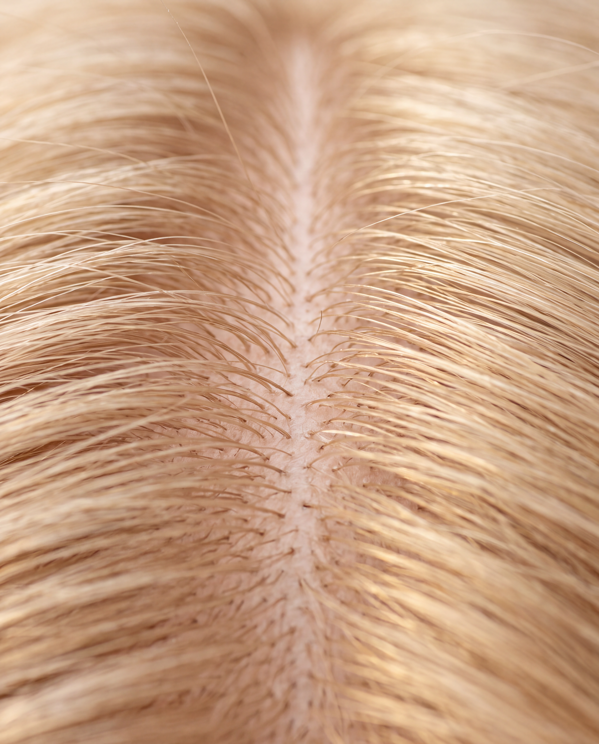 Raíz y cuero cabelludo sano en cabello rubio tras el masaje con ROMERO SERUM