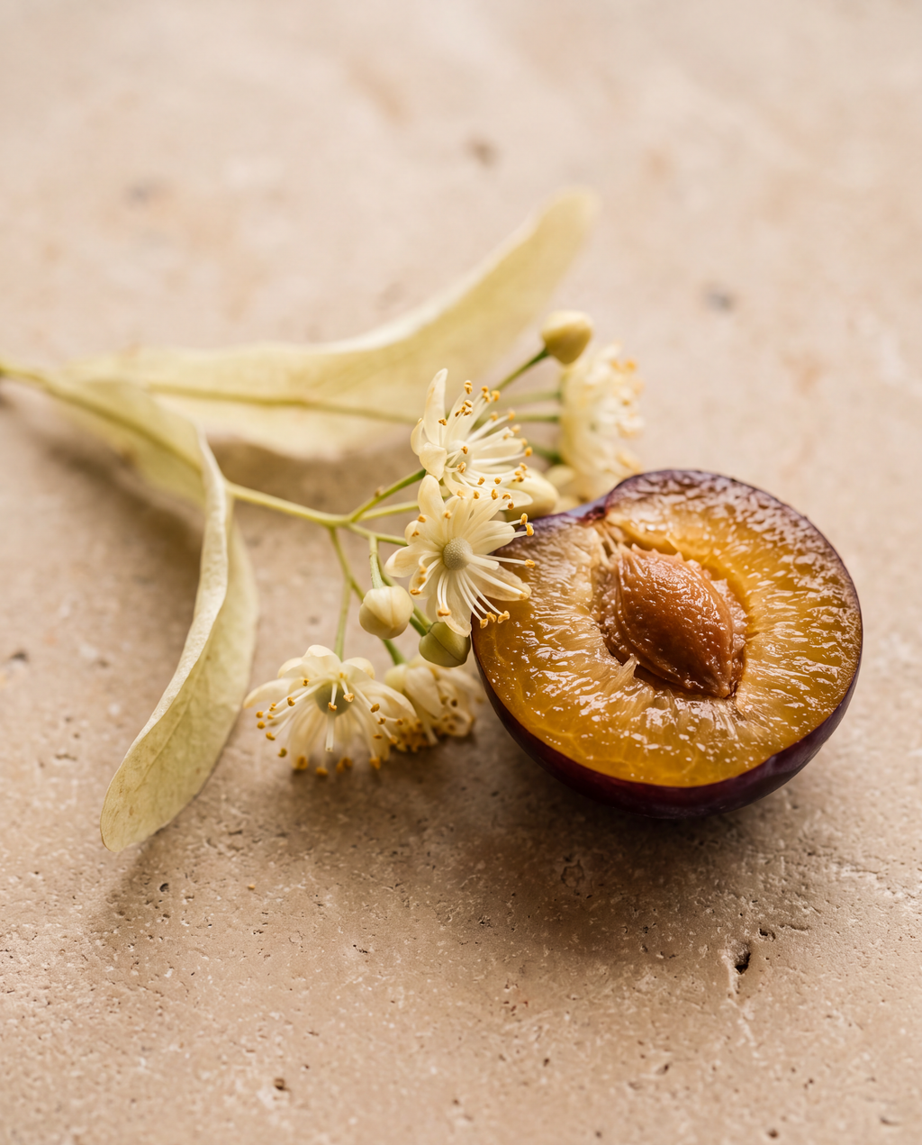 Flor de tilo y ciruela: el aroma del champú para cuero cabelludo sensible