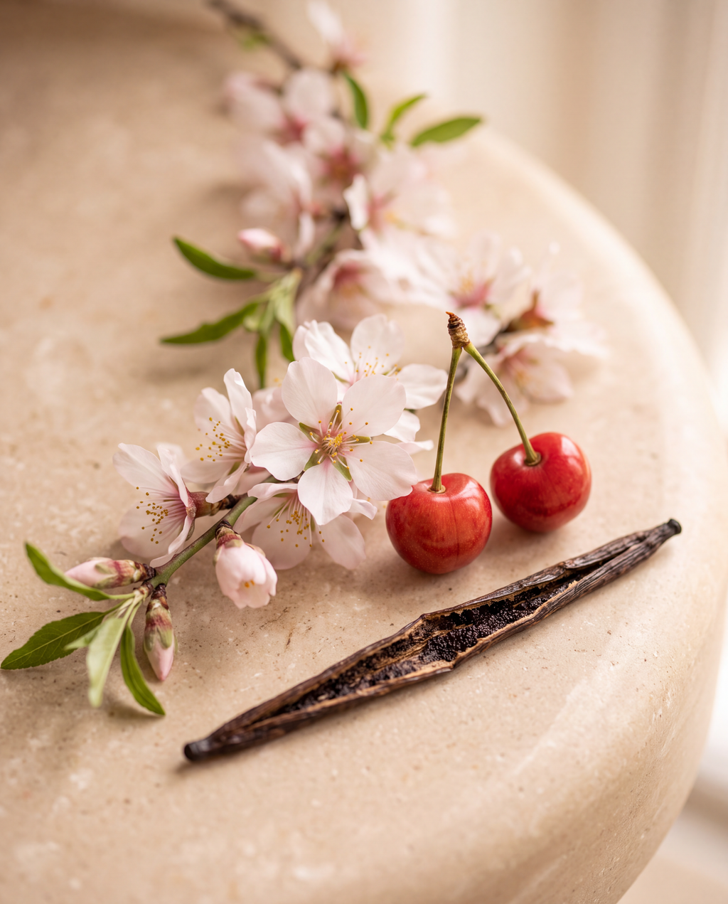 Flor de almendro, cereza y vainilla: el aroma de BABY DELICATE